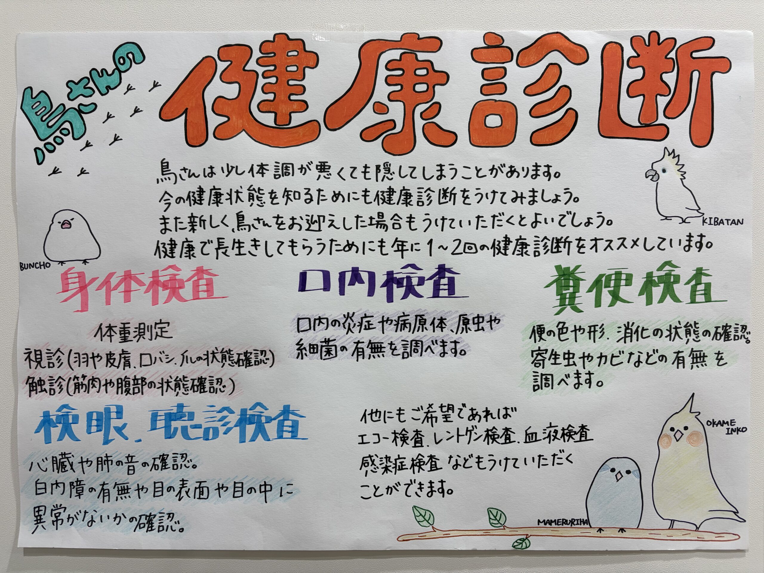 鳥さん、うさぎさん、小動物の健康診断について | 大阪市住之江区の